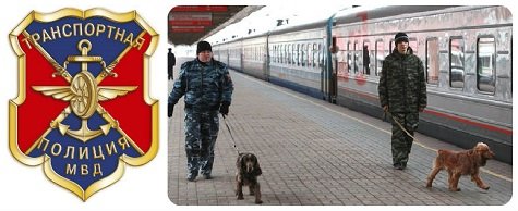 День транспортной полиции россии прикольные