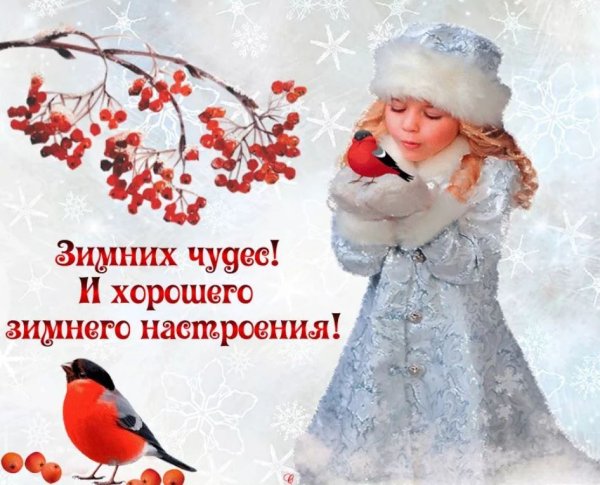 Доброго зимнего дня и хорошего настроения красивые с пожеланиями