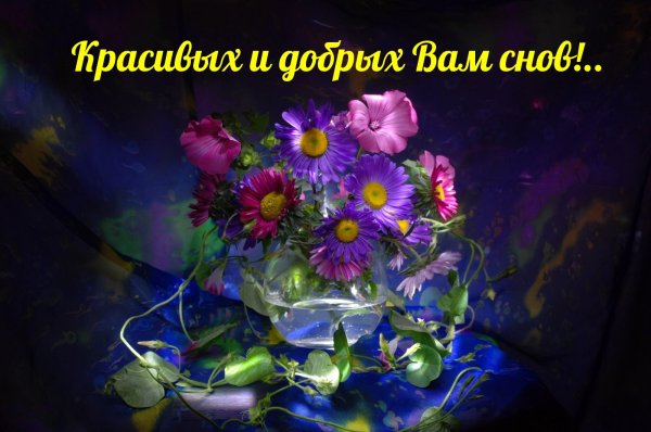Спокойной ночи на украинском языке красивые