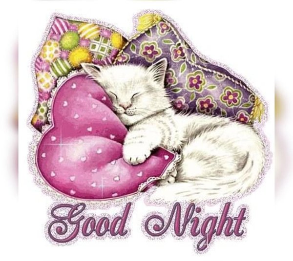 Доброй ночи и сладких сновидений