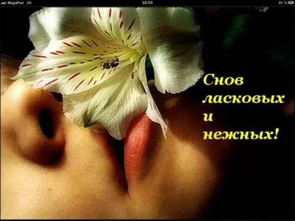 Доброй ночи красивые женщине с пожеланиями поцелуями и цветами