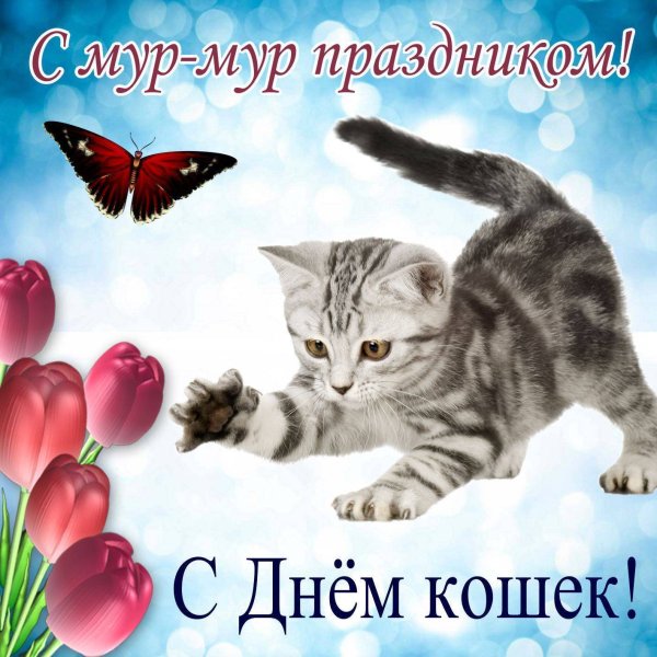 День кошек в россии прикольные