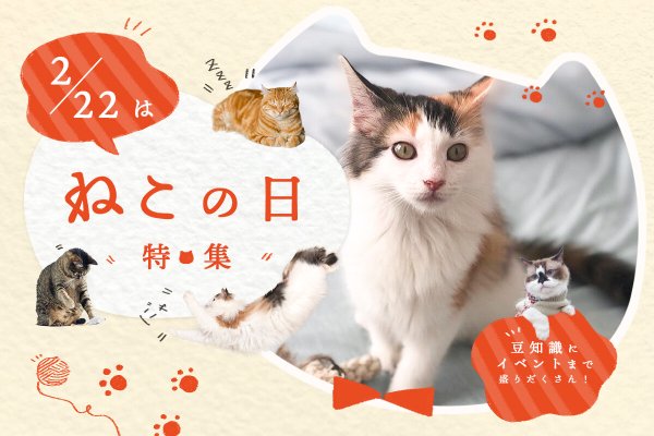 День кошки в японии