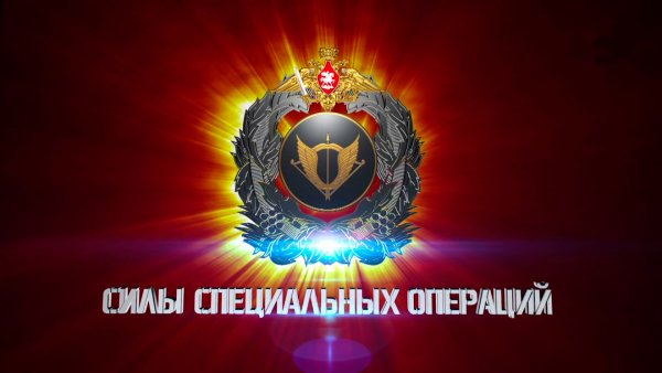 День сил специальных операций российской федерации