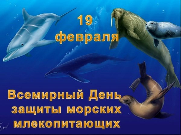 День защиты морских млекопитающих