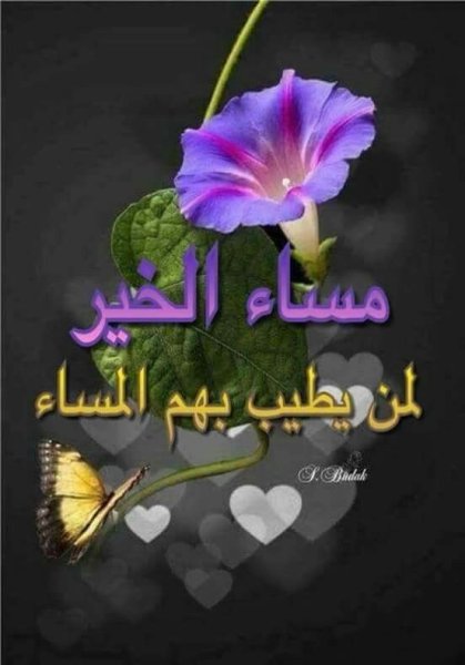 Добрый вечер по арабски
