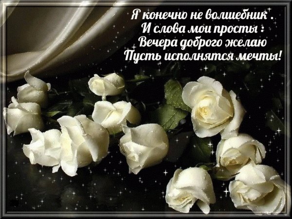 Добрый вечер с розами красивые необычные