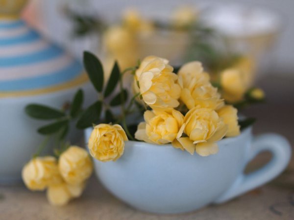 Доброе утро красивые с желтыми розами