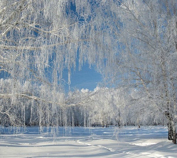 Доброе утро на татарском языке зимние