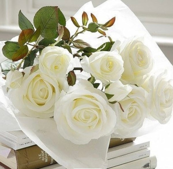 Доброе утро с белыми розами