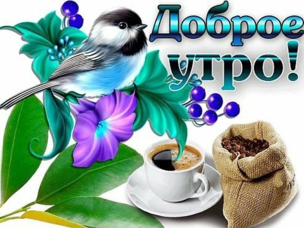 Доброе утро всем привет