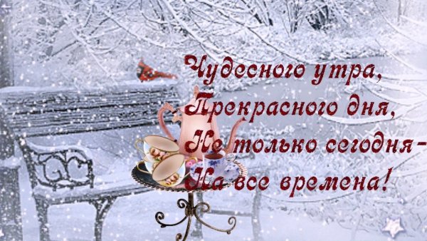Доброго утра и хорошего и прекрасного дня зимние