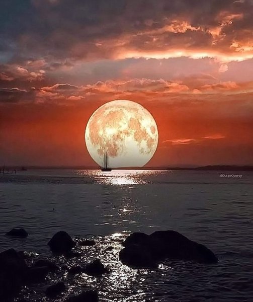 Большая луна ночью