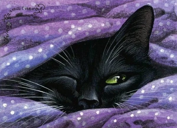Черный кот в ночи