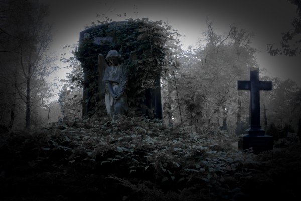 Мрачный лес кладбище