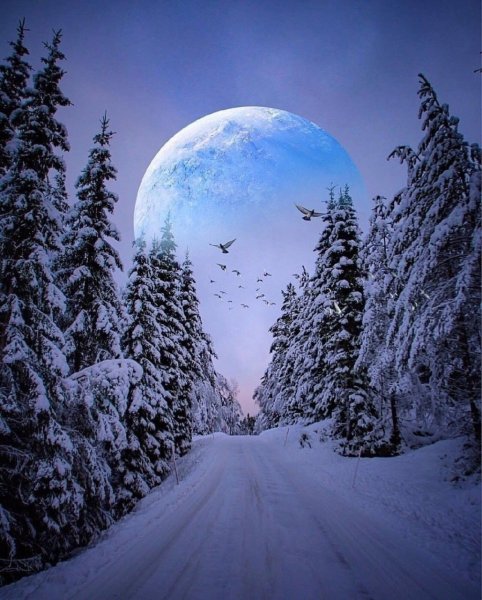 Красивые ночь с луной зимой