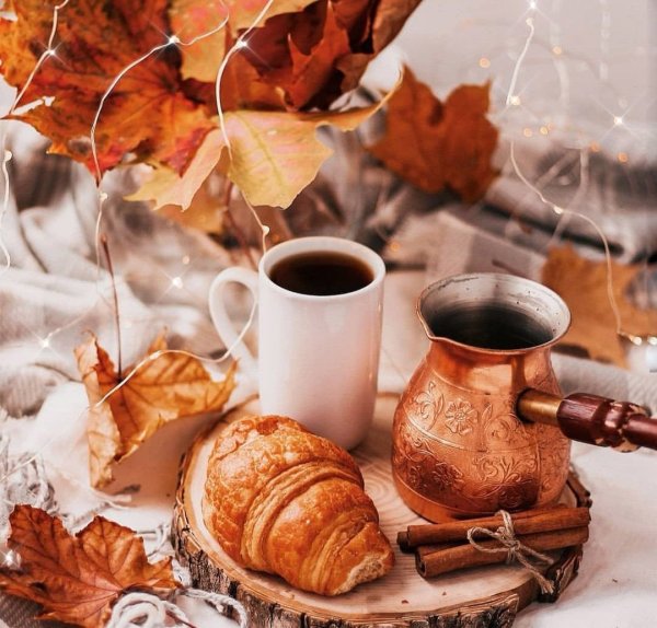 Красивые осени с кофе утром