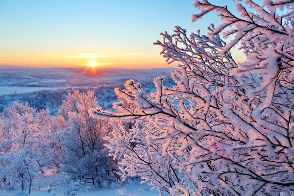 Красивые зимнее утро с природой