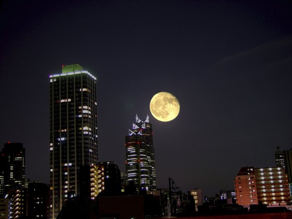 Лунная ночь в городе