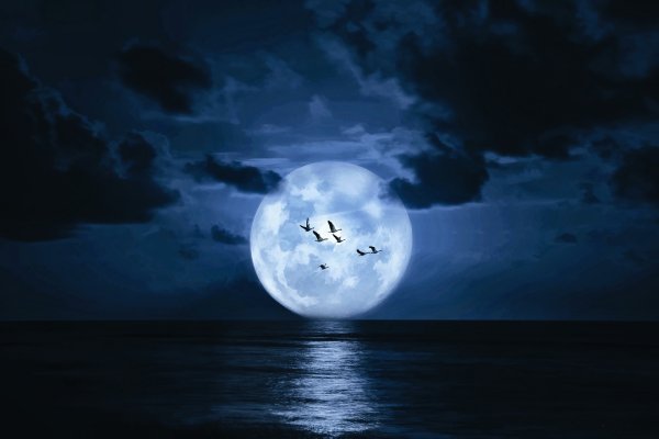 Море и луна ночью