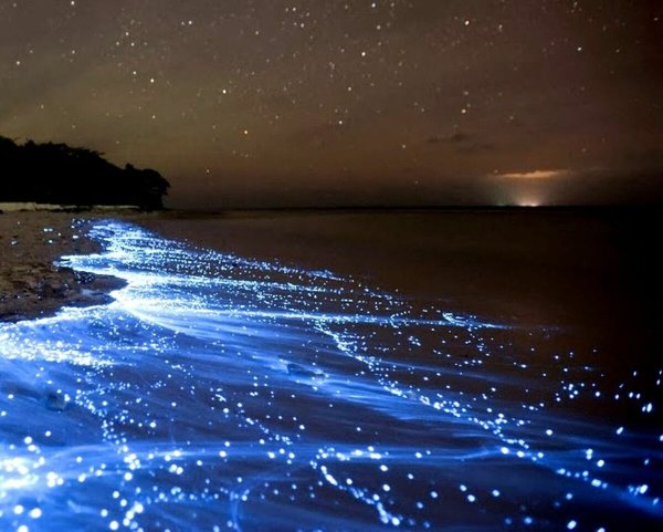 Море ночью со звездами