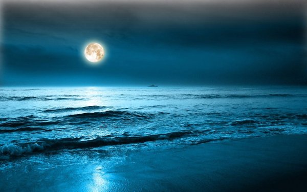 Ночь на берегу моря