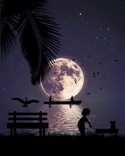 Ночь с луной и звездами красивые