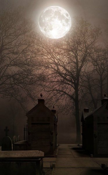 Ночь с луной на кладбище