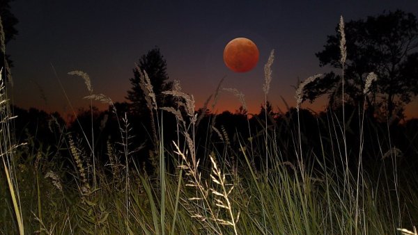 Ночь с луной в поле