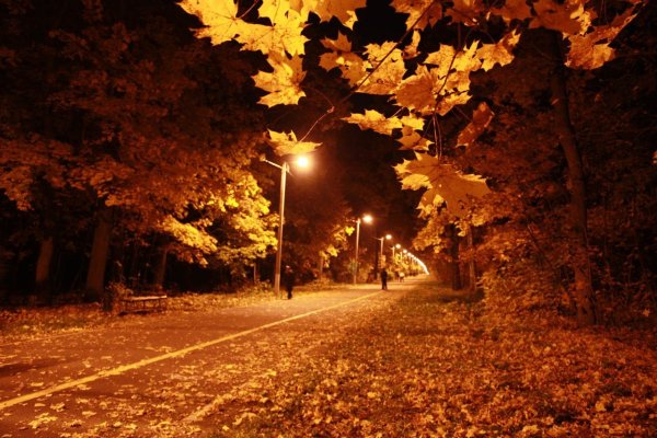 Осень ночью красивые