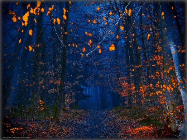 Осенней ночи
