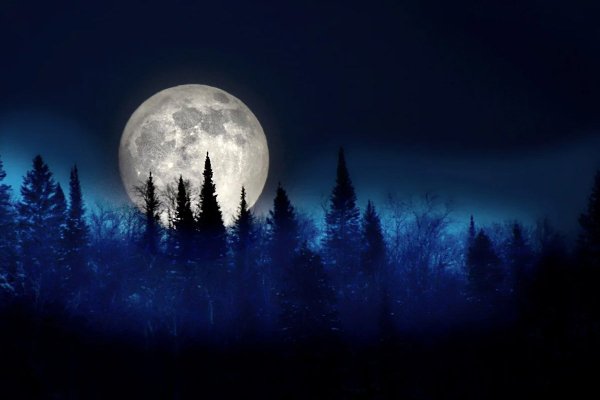 Полная луна ночью