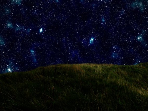 Поля ночью со звездами