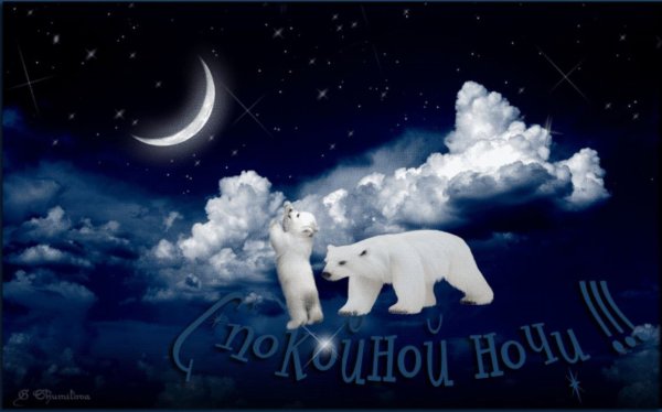 С белыми медведями спокойной ночи