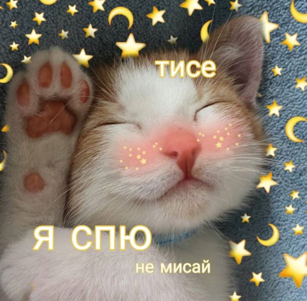 С котиками и сердечками доброй ночи