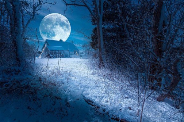 Снег и луна ночью