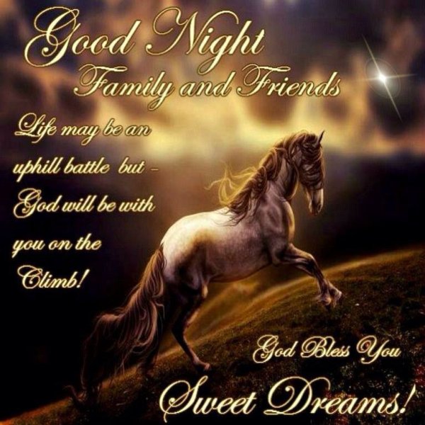 Спокойной ночи с лошадьми