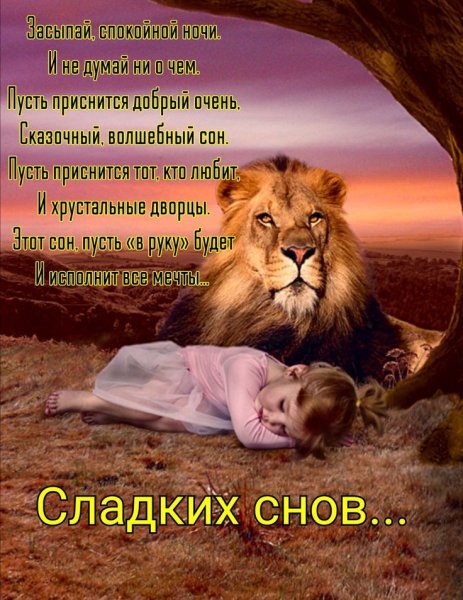 Спокойной ночи со львом