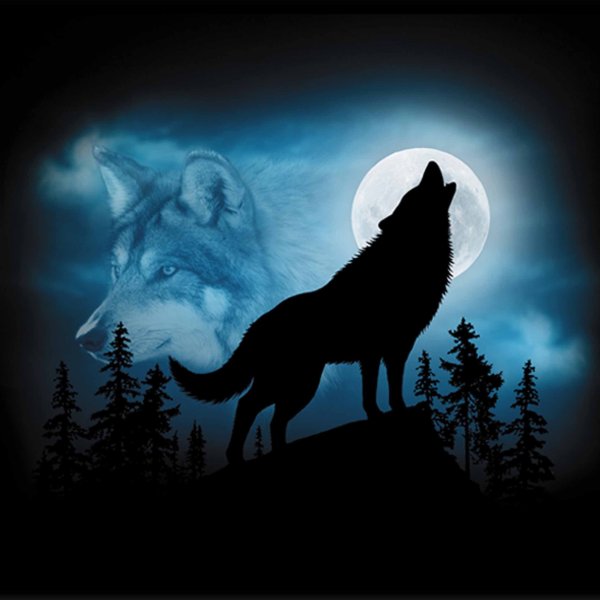 Волк ночью и луна