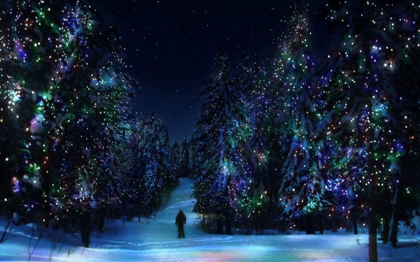 Зима и елки ночью