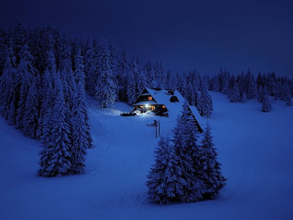 Зимняя ночь с природой