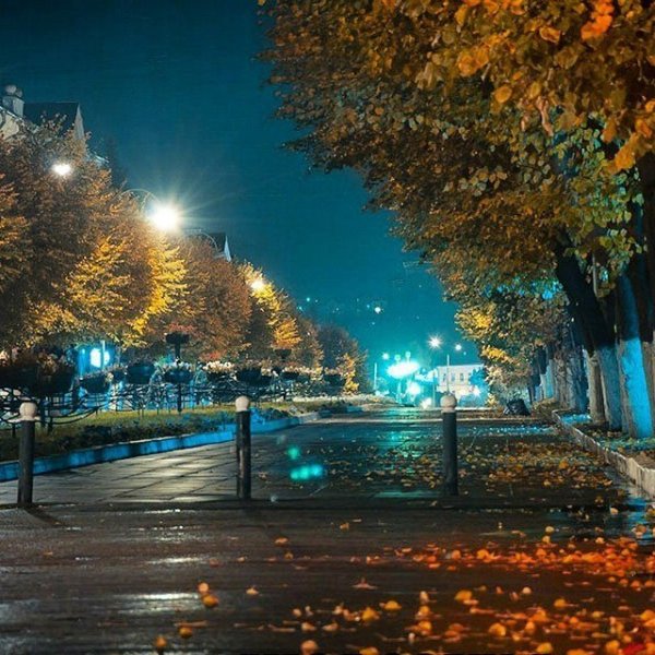Осень в городе вечером