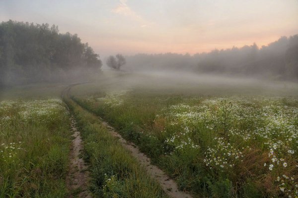 Пасмурное летнее утро