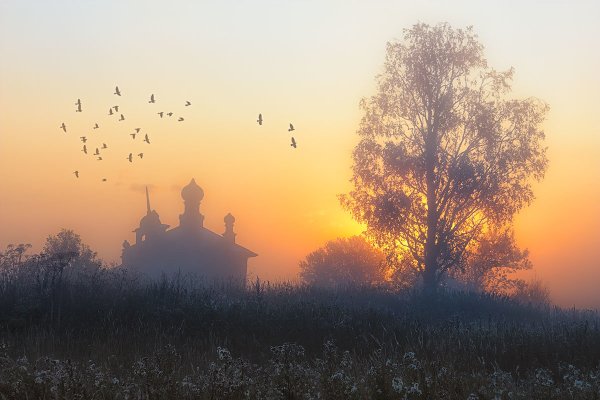 Позднее утро