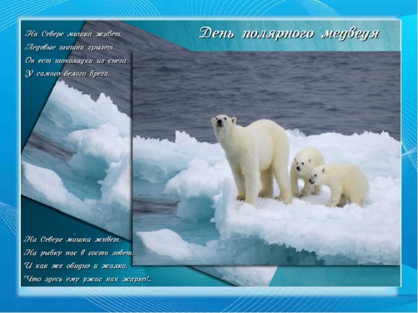 Поздравления с международным днем полярного медведя