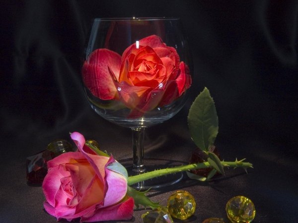 Приятного вечера с розами