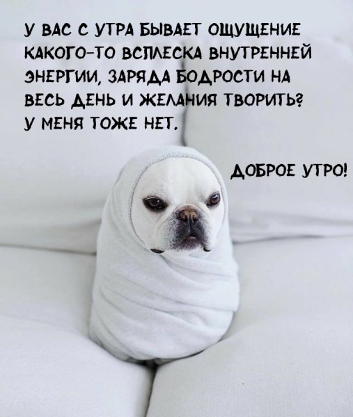 Ржачные до слез про утро