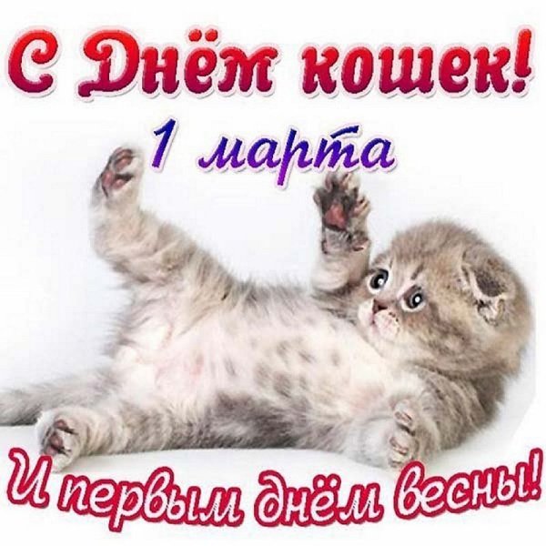 С днем кошек и котов