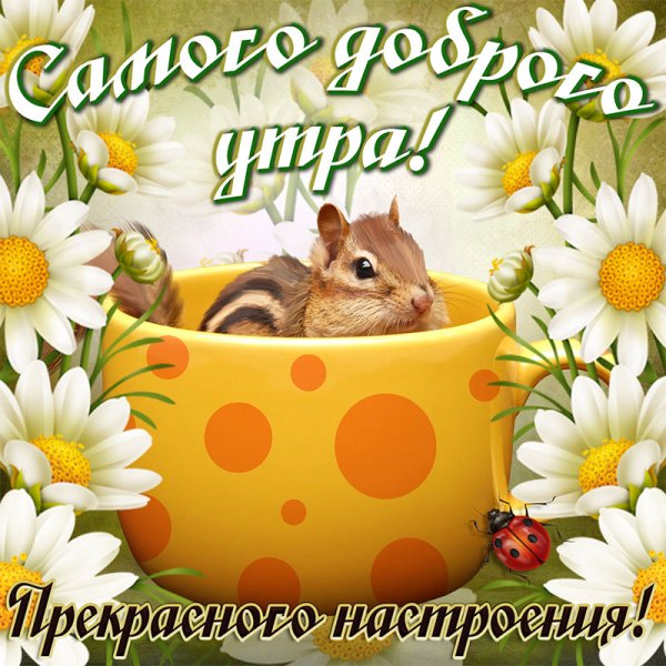 Самое доброе утро позитивные