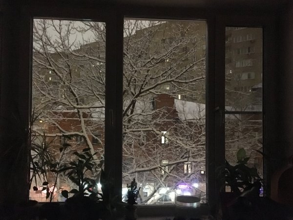 Снег за окном вечером